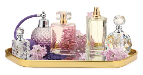 Photo of Luxury perfumes and beautiful lilac flowers isolated on white