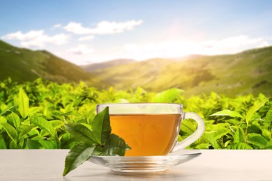 Image of Cup of green tea on table against tea plantation in mountains