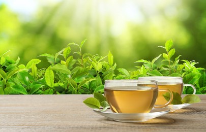 Image of Cups of green tea on wooden table in tea plantation. Banner design with space for text