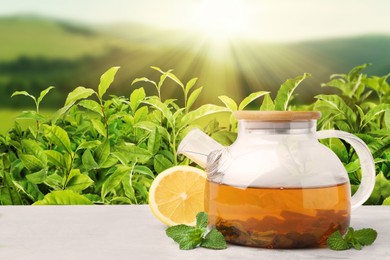 Image of Green tea in glass teapot, mint leaves and lemon on table against tea plantation in mountains. Space for text