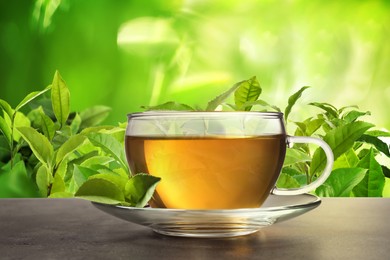 Image of Cup of green tea on grey table in tea plantation
