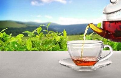 Image of Pouring tea in glass cup on table against tea plantation in mountains. Space for text