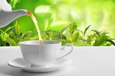 Image of Pouring tea in cup on table in tea plantation. Space for text