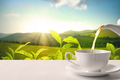 Image of Pouring tea in cup on table against tea plantation in mountains. Space for text