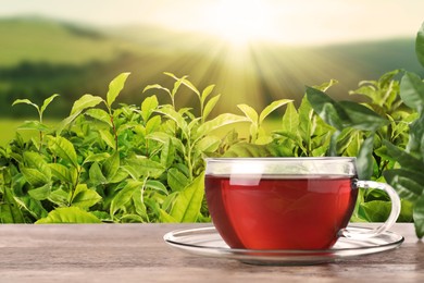 Image of Cup of tea on wooden table against tea plantation in mountains. Space for text