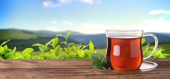 Image of Cup of tea on wooden table against tea plantation in mountains. Banner design with space for text