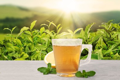 Image of Cup of green tea on white table against tea plantation in mountains