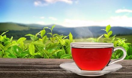 Image of Cup of tea on wooden table against tea plantation in mountains. Banner design with space for text