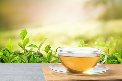Image of Cup of green tea on wooden table in tea plantation. Space for text