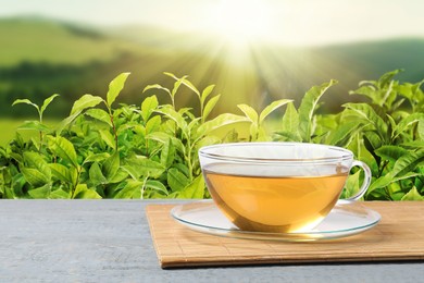 Image of Cup of green tea on wooden table against tea plantation in mountains. Space for text