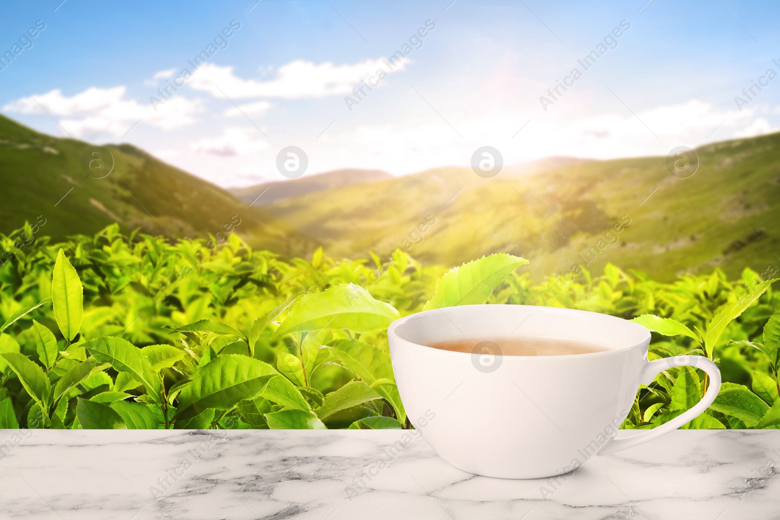 Cup of green tea on marble table against tea plantation in mountains. Space for text Image of Cup of green tea on marble table against tea plantation in mountains. Space for text