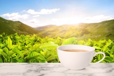 Image of Cup of green tea on marble table against tea plantation in mountains. Space for text