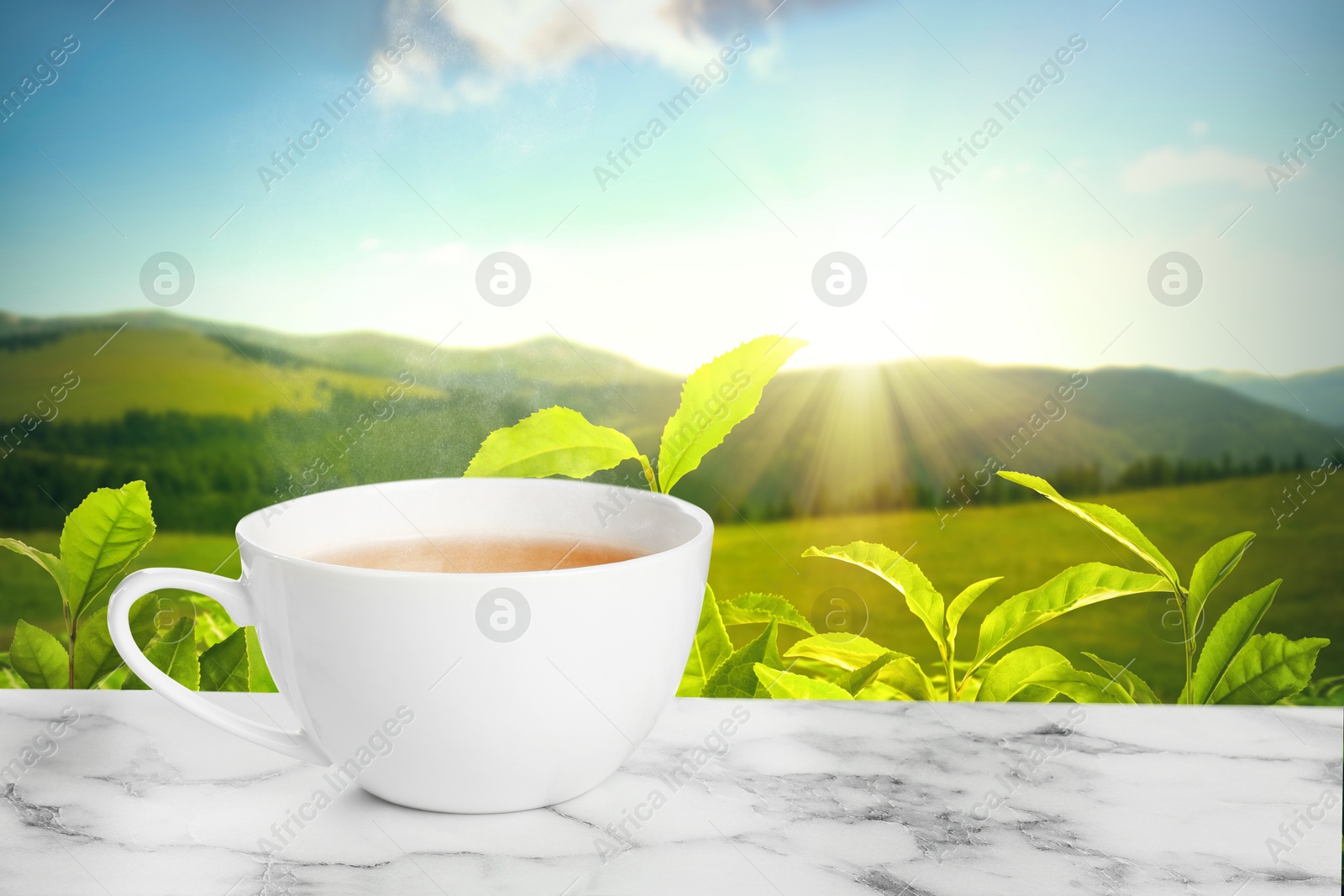 Cup of green tea on marble table against tea plantation in mountains. Space for text Image of Cup of green tea on marble table against tea plantation in mountains. Space for text