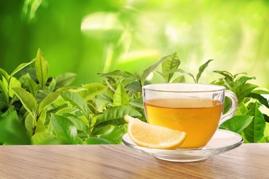 Image of Cup of green tea and lemon wedge on wooden table in tea plantation. Space for text