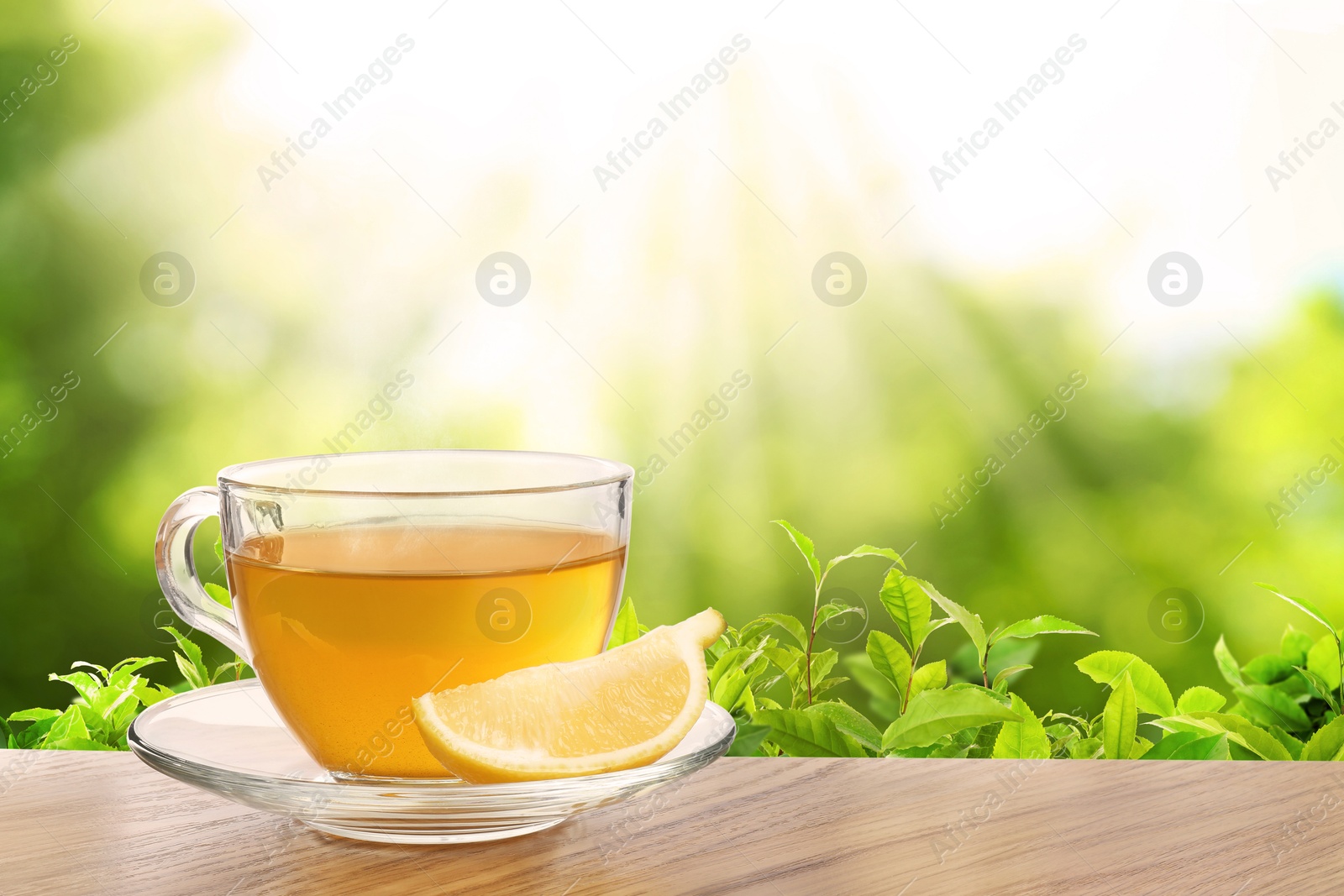 Cup of green tea and lemon wedge on wooden table in tea plantation. Space for text Image of Cup of green tea and lemon wedge on wooden table in tea plantation. Space for text