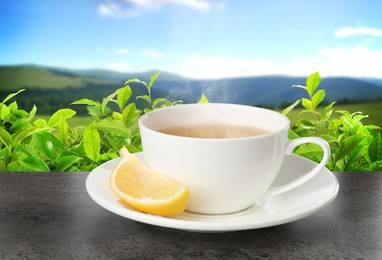 Image of Cup of green tea and lemon wedge on black table against tea plantation in mountains