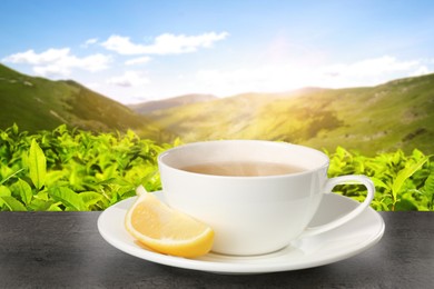 Image of Cup of green tea and lemon wedge on black table against tea plantation in mountains