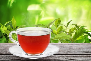 Image of Cup of tea on wooden table in tea plantation. Space for text