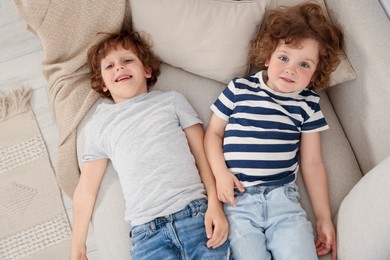 Photo of Cute little brothers laying together on sofa, above view
