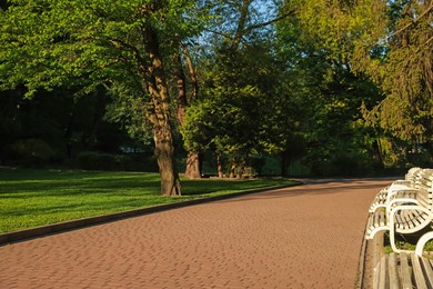 Photo of View of pathway with benches and beautiful trees in park