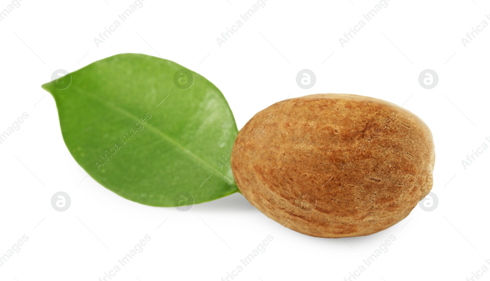 Whole nutmeg and leaf isolated on white Photo of Whole nutmeg and leaf isolated on white