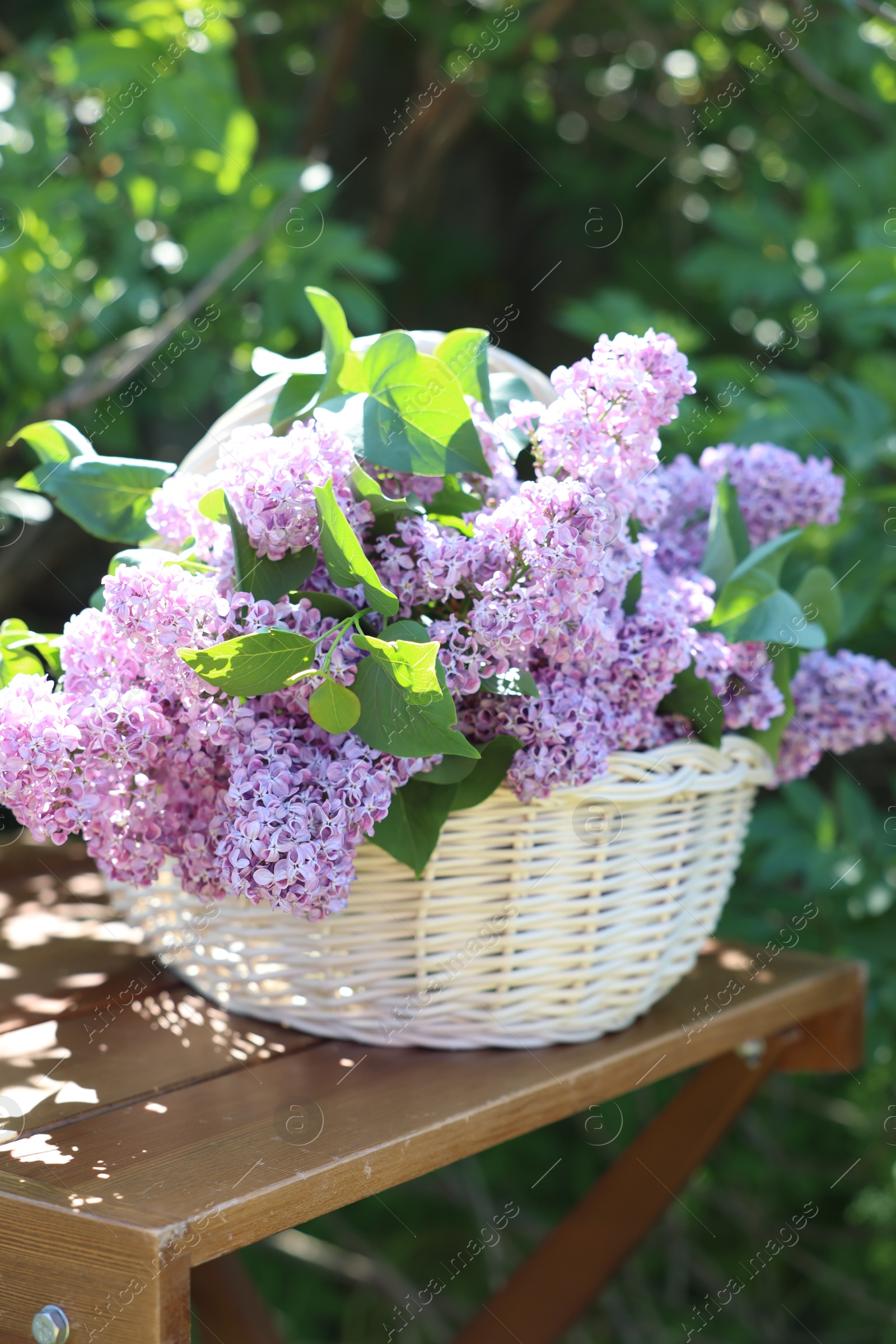 Beautiful lilac flowers in wicker basket on wooden table in garden Photo of Beautiful lilac flowers in wicker basket on wooden table in garden