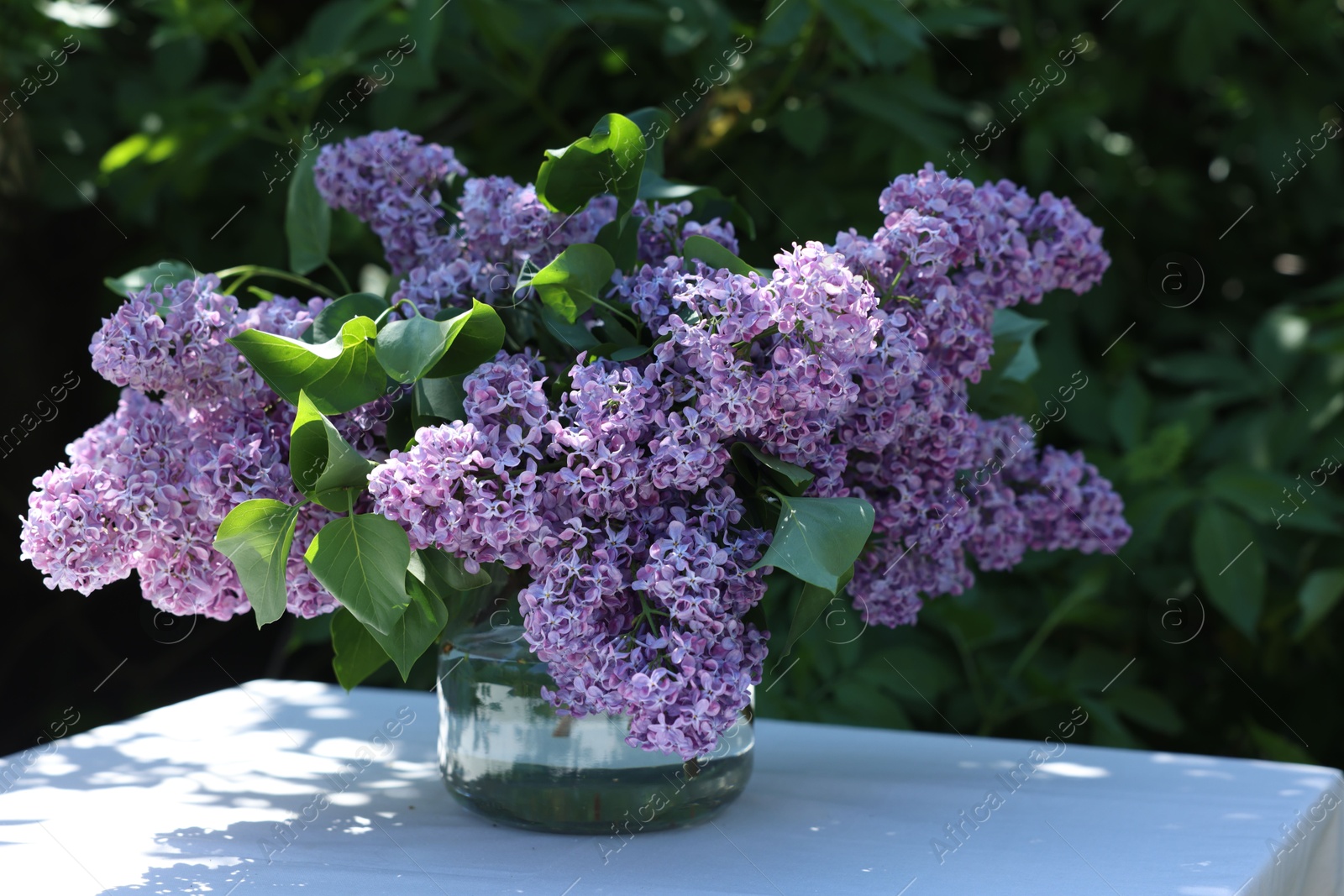 Beautiful lilac flowers in vase on table in garden Photo of Beautiful lilac flowers in vase on table in garden