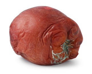 Photo of One whole rotten apple isolated on white