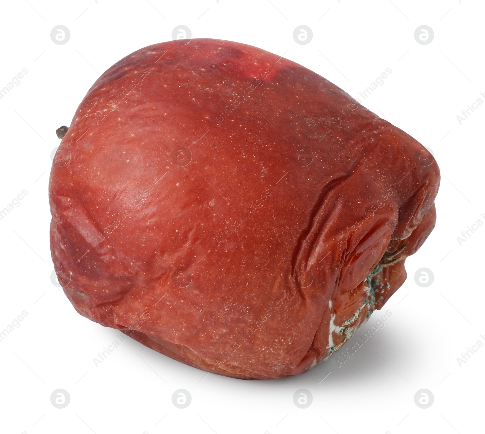 One whole rotten apple isolated on white Photo of One whole rotten apple isolated on white