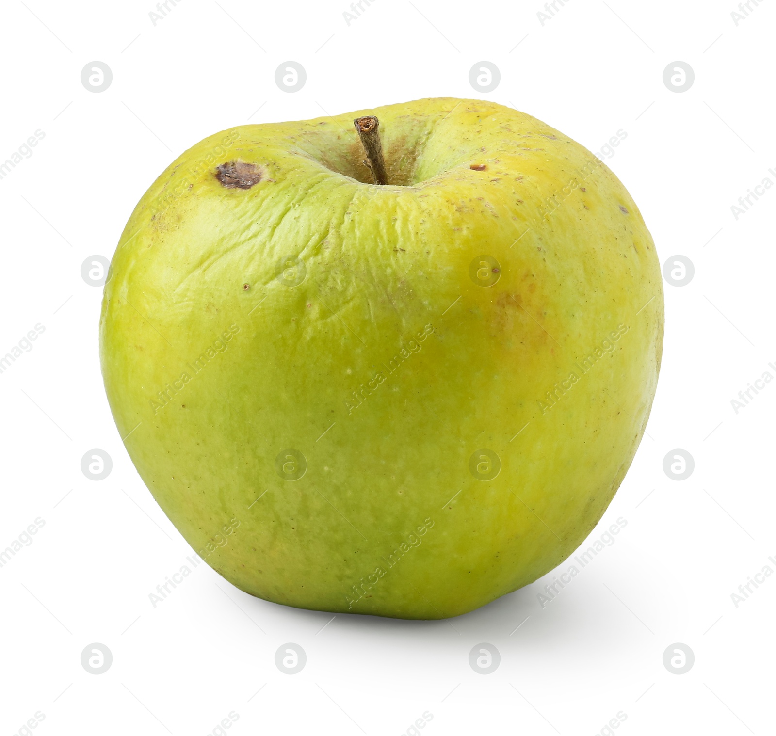 One whole rotten apple isolated on white Photo of One whole rotten apple isolated on white