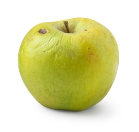 Photo of One whole rotten apple isolated on white