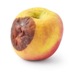 Photo of One whole rotten apple isolated on white
