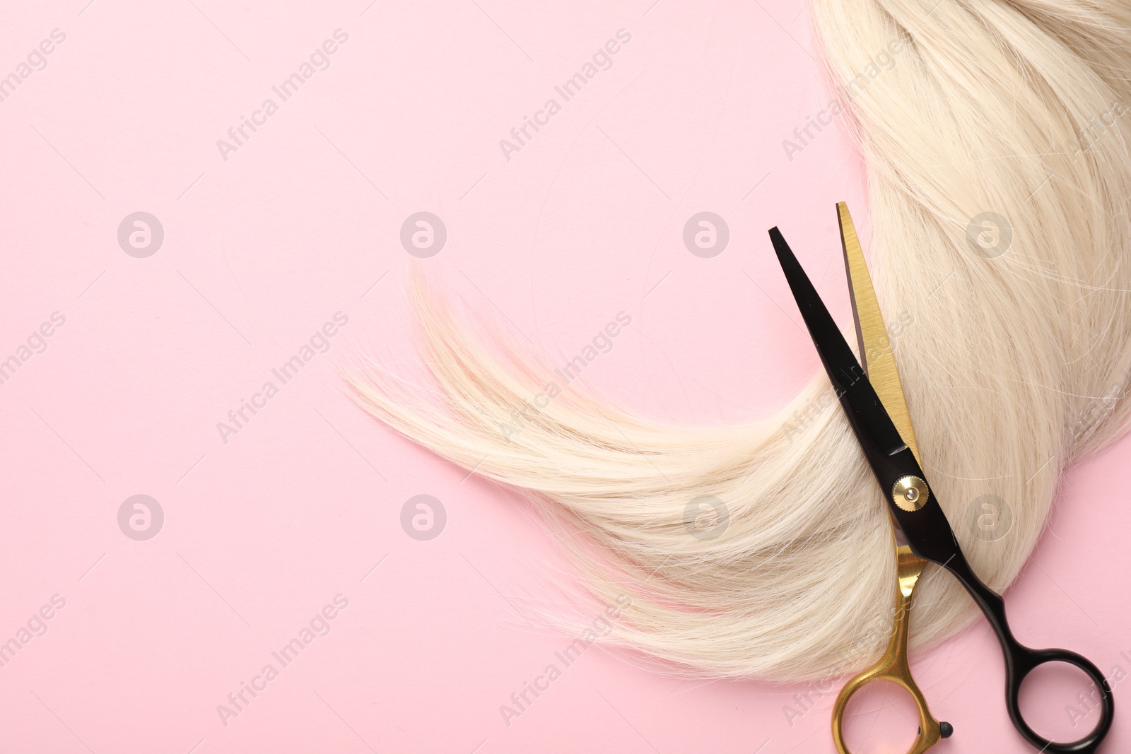 Hair strand and scissors on light pink background, top view. Space for text Photo of Hair strand and scissors on light pink background, top view. Space for text