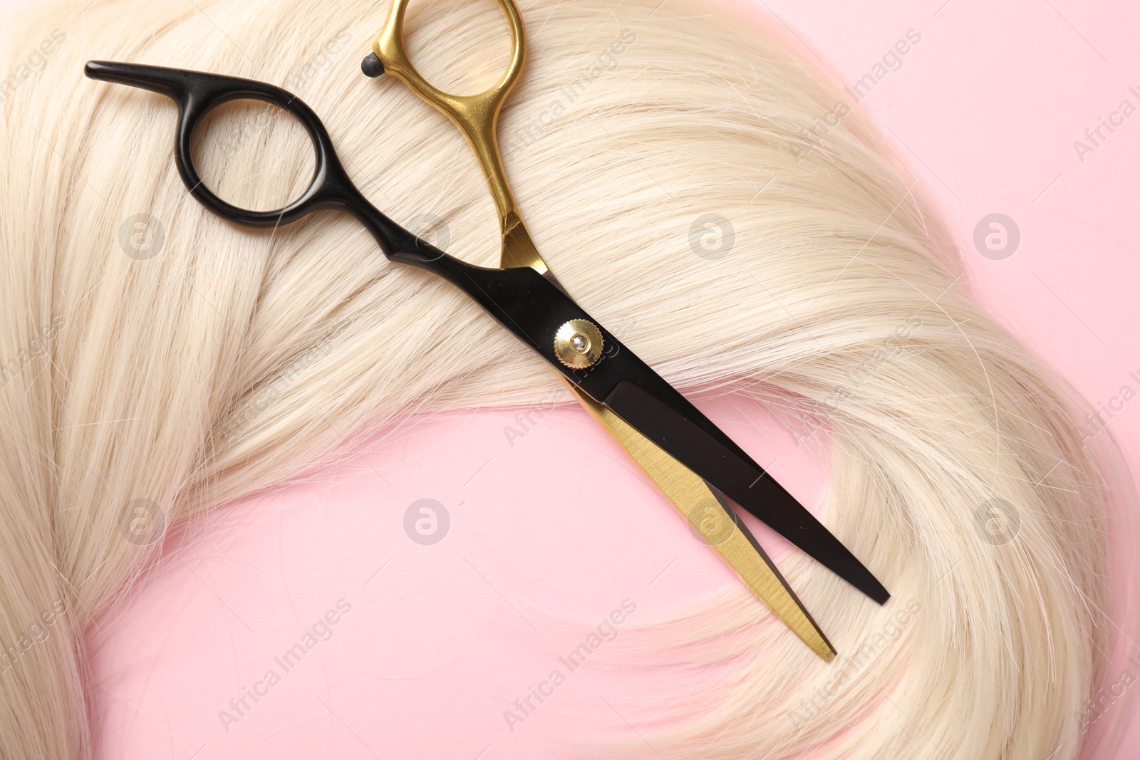Hair strand and scissors on light pink background, top view Photo of Hair strand and scissors on light pink background, top view