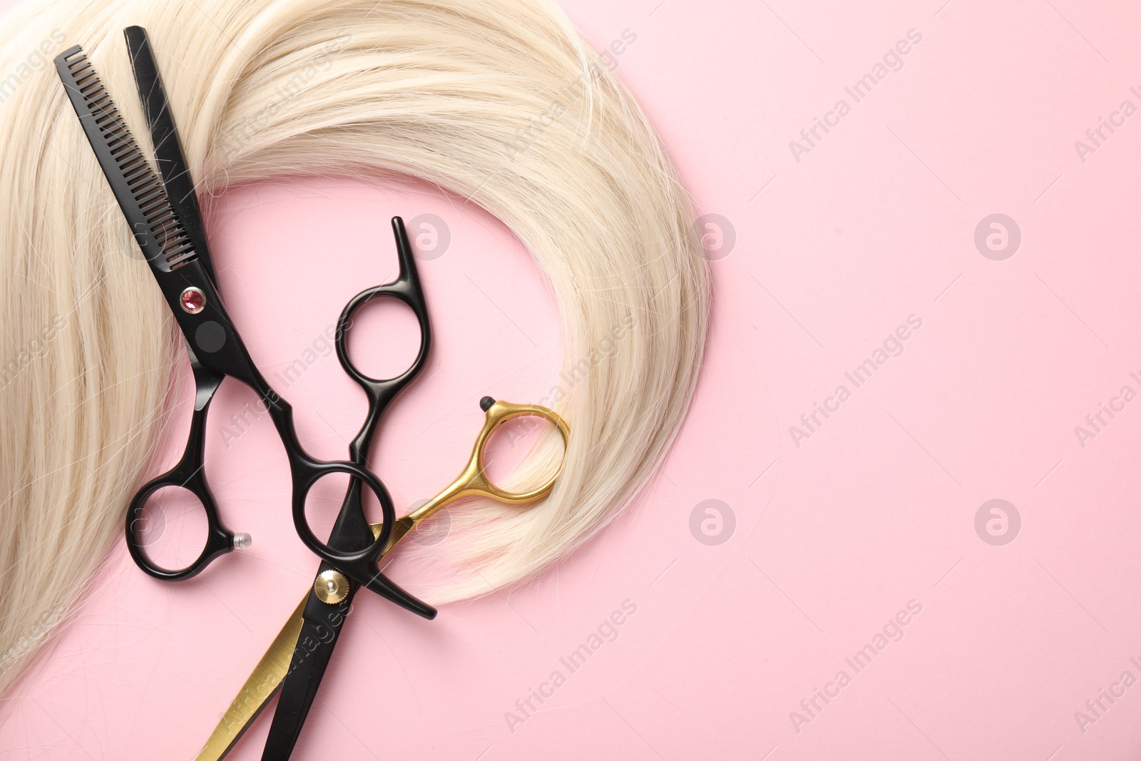 Hair strand and scissors on light pink background, top view. Space for text Photo of Hair strand and scissors on light pink background, top view. Space for text