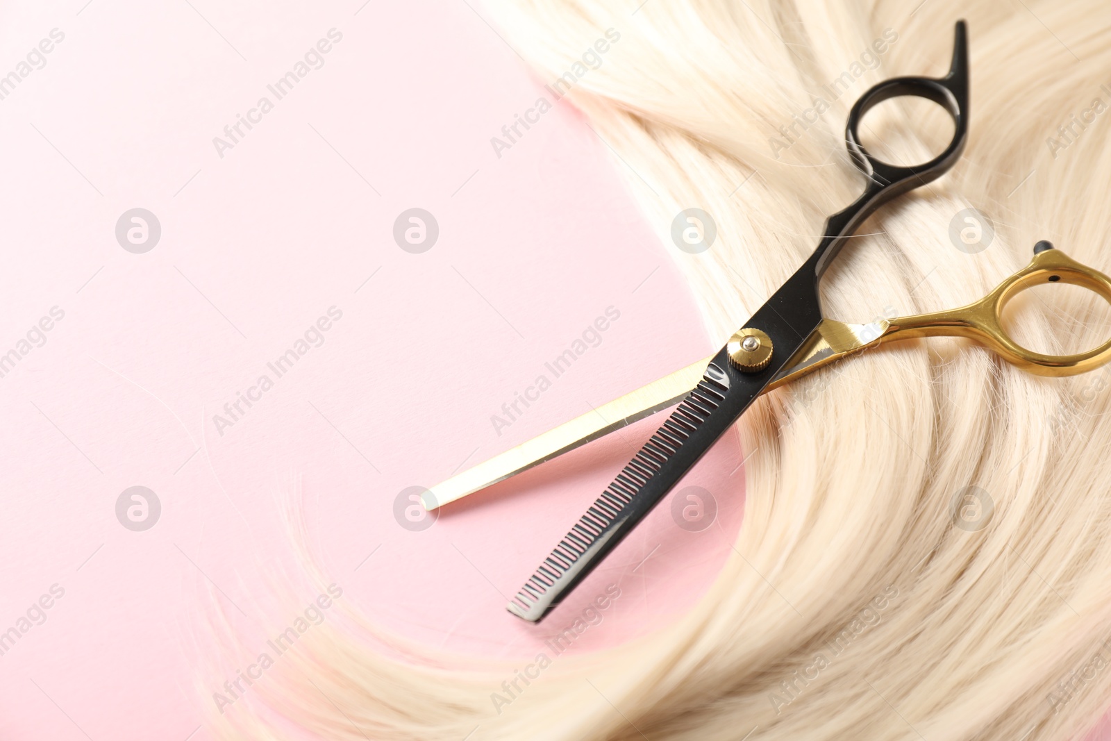 Hair strand and scissors on light pink background, closeup. Space for text Photo of Hair strand and scissors on light pink background, closeup. Space for text