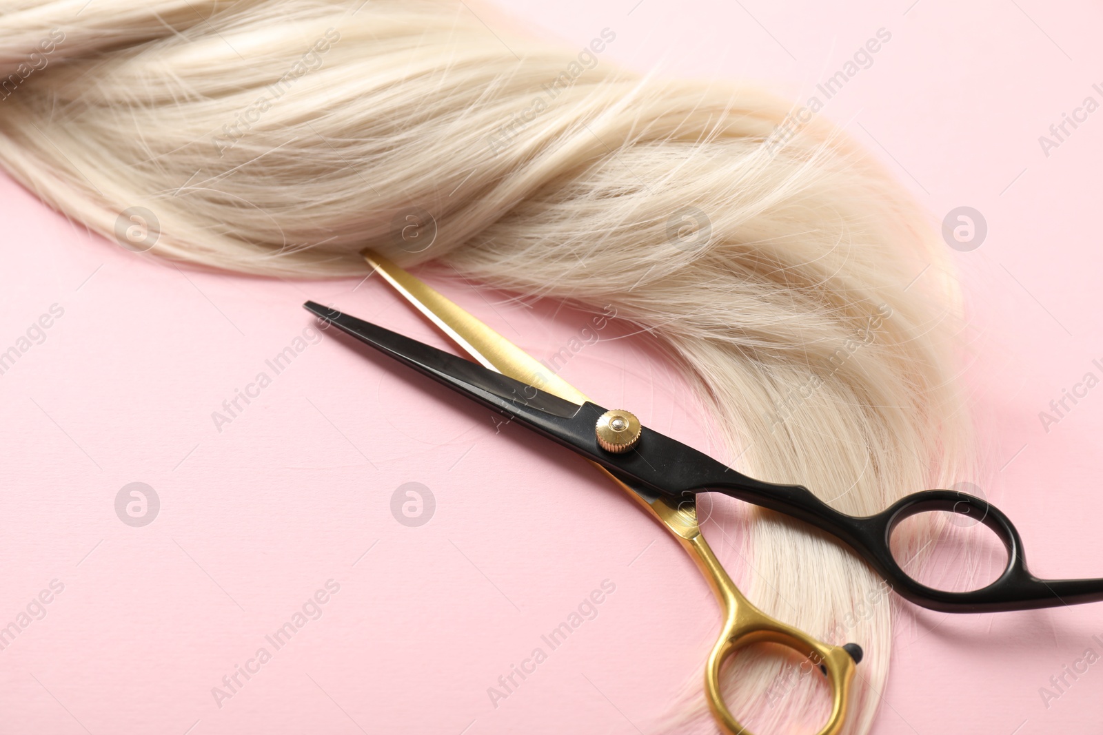 Hair strand and scissors on light pink background, closeup Photo of Hair strand and scissors on light pink background, closeup