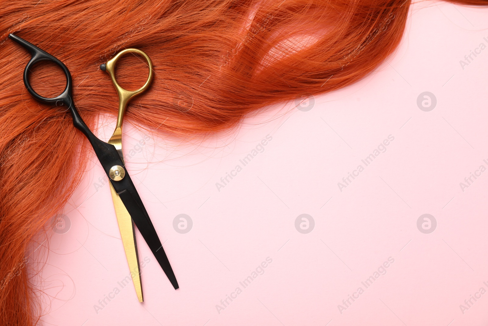 Hair strand and scissors on light pink background, top view. Space for text Photo of Hair strand and scissors on light pink background, top view. Space for text