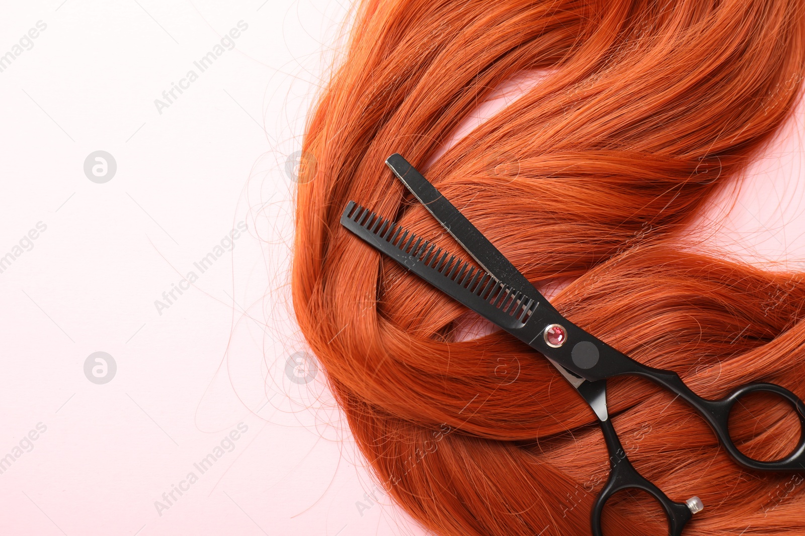 Hair strand and scissors on light pink background, top view. Space for text Photo of Hair strand and scissors on light pink background, top view. Space for text