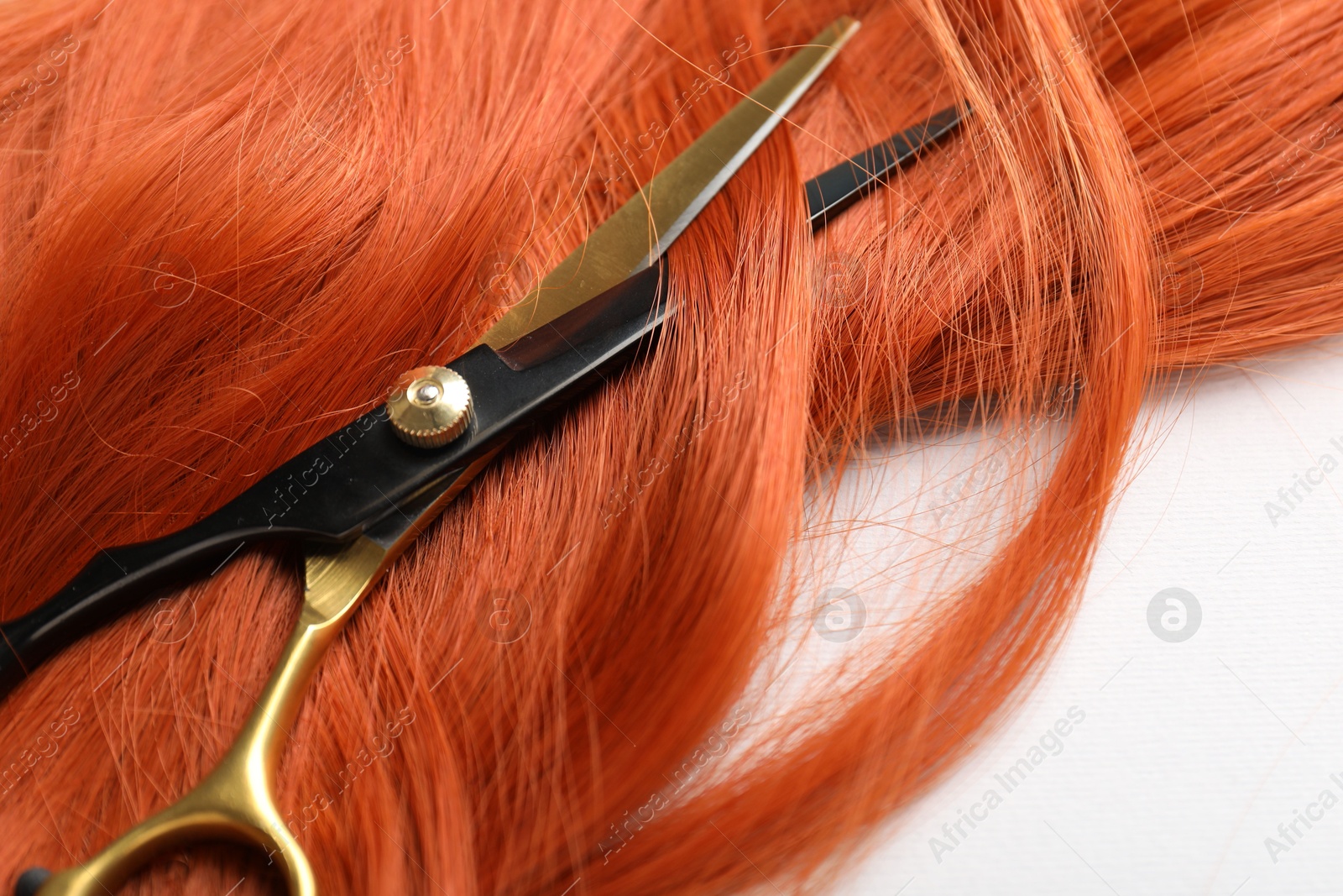 Hair strand and scissors on light background, closeup Photo of Hair strand and scissors on light background, closeup
