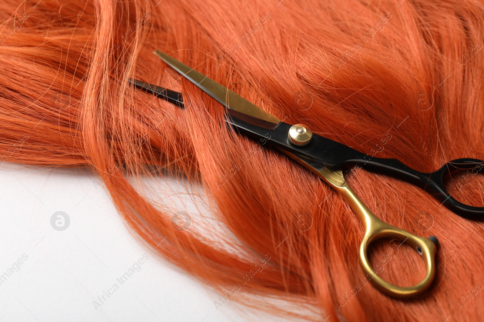 Hair strand and scissors on light background, closeup Photo of Hair strand and scissors on light background, closeup