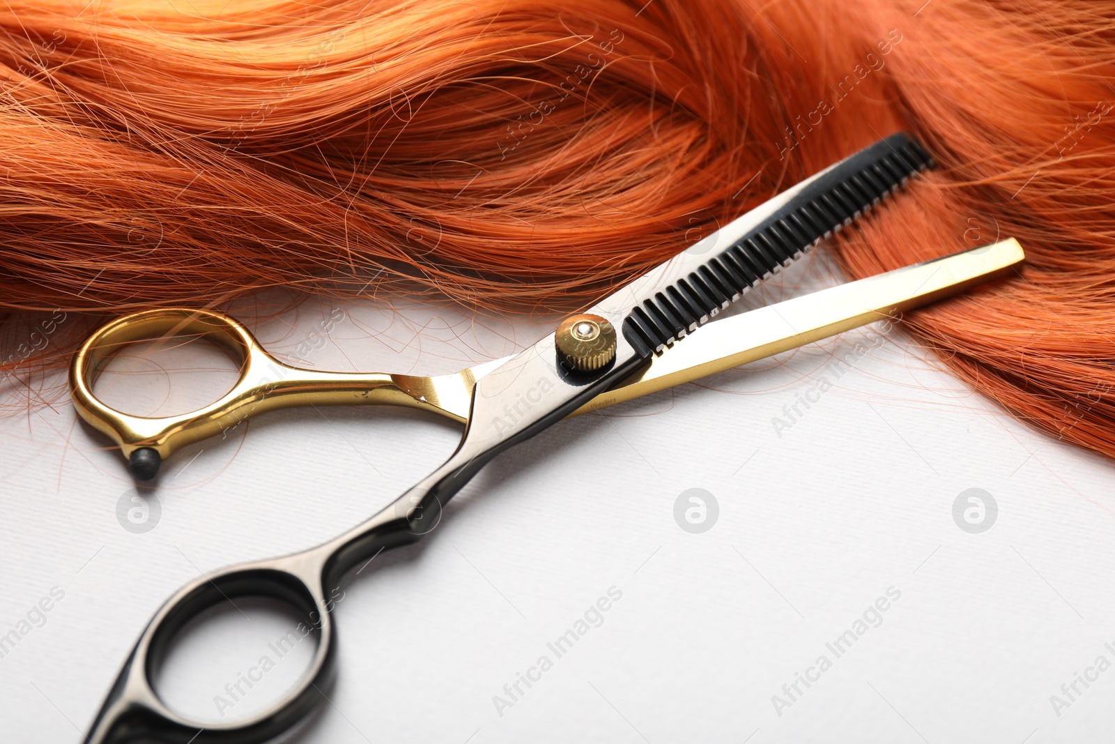 Hair strand and scissors on light background, closeup Photo of Hair strand and scissors on light background, closeup