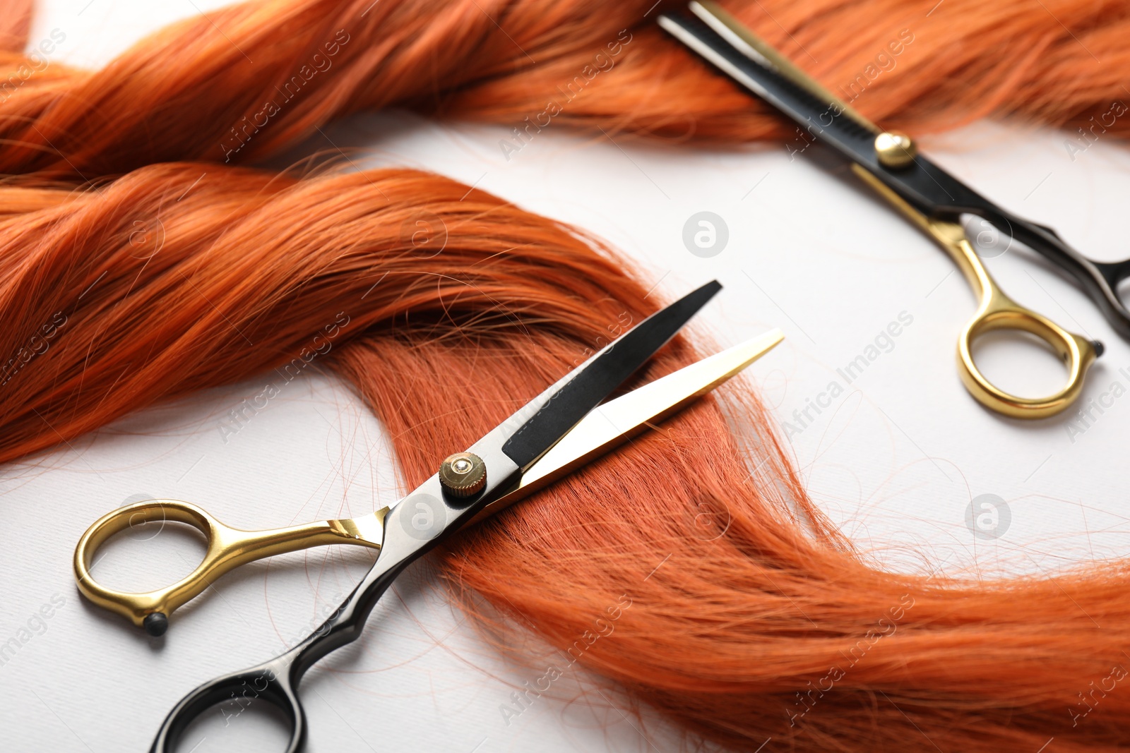 Hair strand and scissors on light background, closeup Photo of Hair strand and scissors on light background, closeup