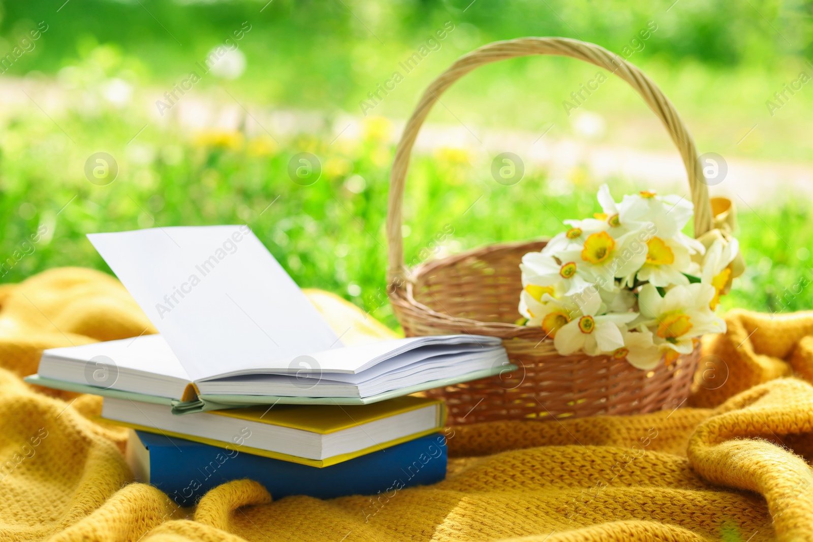 Stacked books, blanket and wicker basket with daffodil flowers on green grass outdoors Photo of Stacked books, blanket and wicker basket with daffodil flowers on green grass outdoors