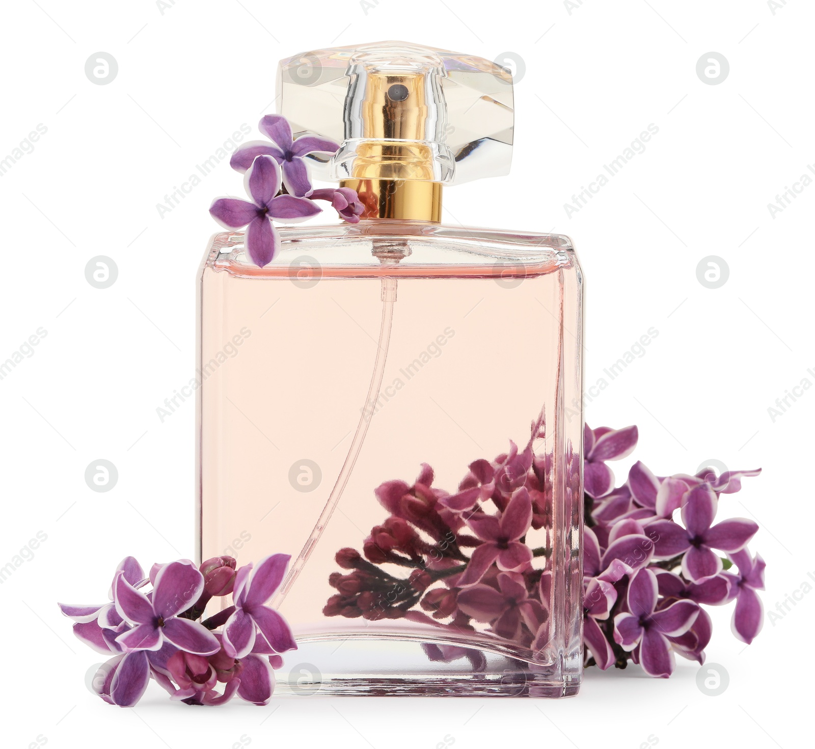 Bottle of luxury perfume and lilac flowers isolated on white Photo of Bottle of luxury perfume and lilac flowers isolated on white