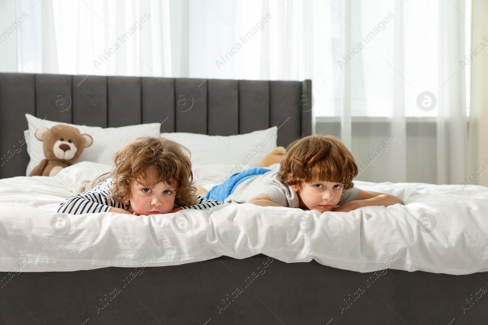 Cute little brothers laying on bed at home Photo of Cute little brothers laying on bed at home