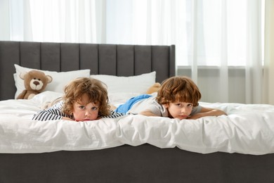 Photo of Cute little brothers laying on bed at home