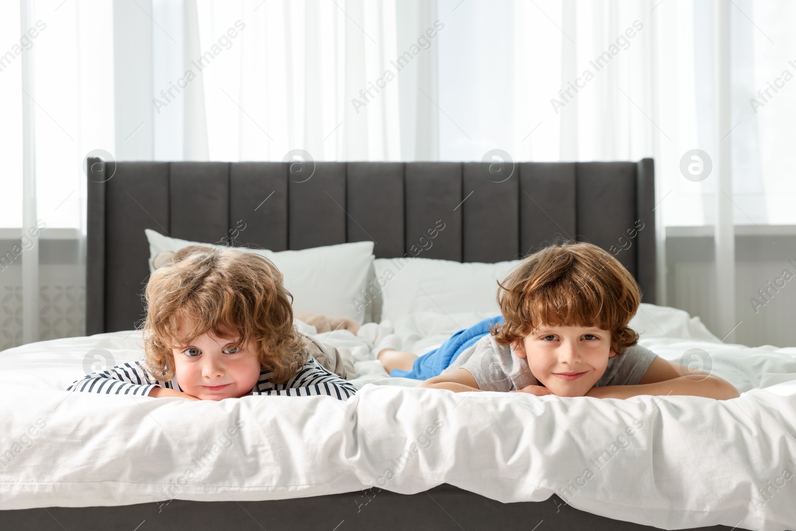 Cute little brothers laying on bed at home. Space for text Photo of Cute little brothers laying on bed at home. Space for text