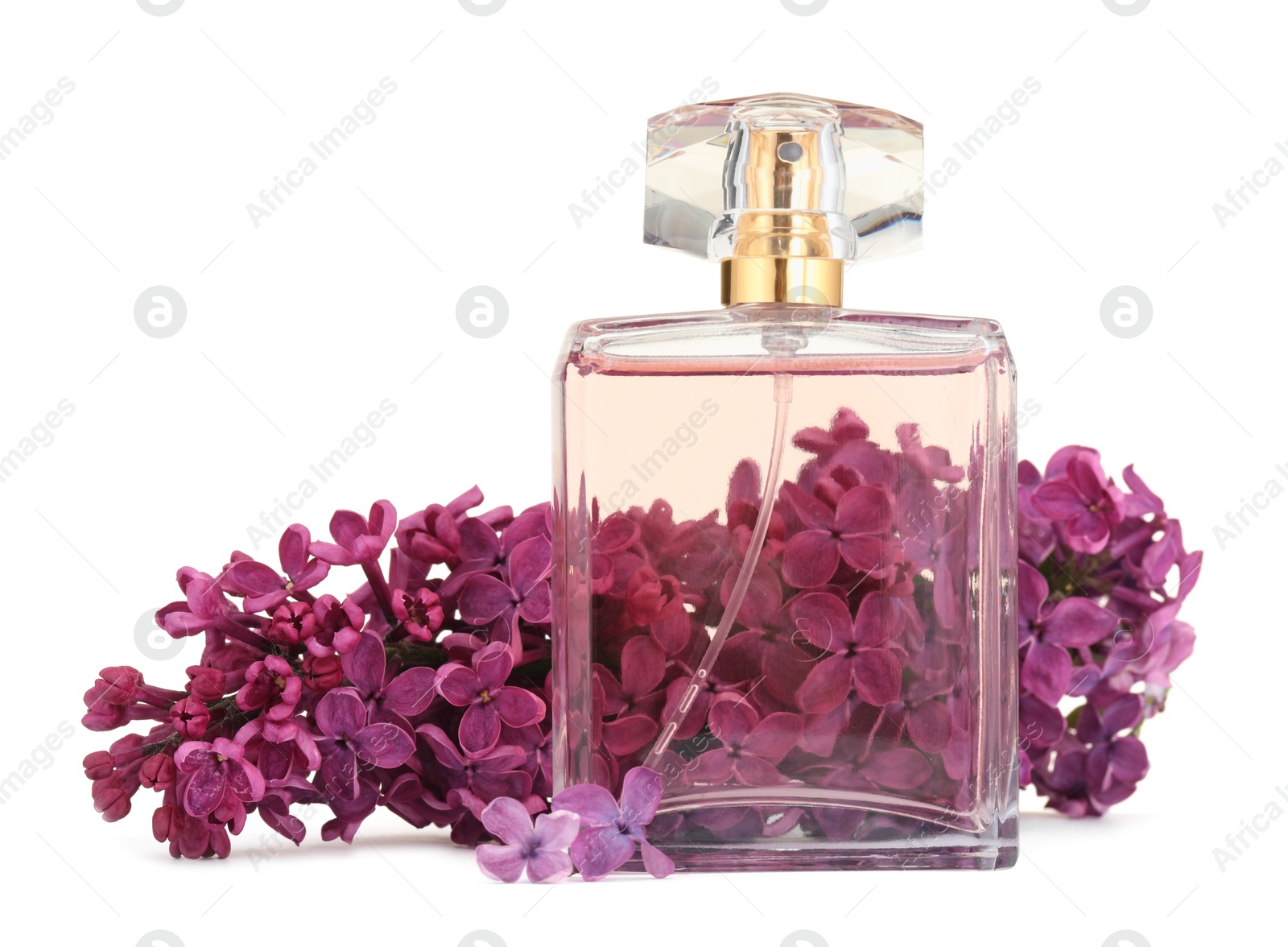 Bottle of luxury perfume and lilac flowers isolated on white Photo of Bottle of luxury perfume and lilac flowers isolated on white