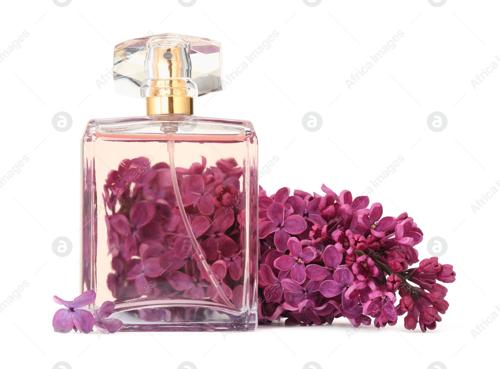 Bottle of luxury perfume and lilac flowers isolated on white Photo of Bottle of luxury perfume and lilac flowers isolated on white
